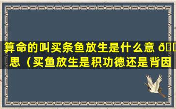 算命的叫买条鱼放生是什么意 🌷 思（买鱼放生是积功德还是背因果）